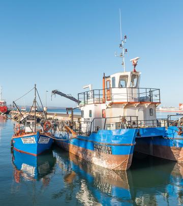 saldanha harbour