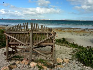 saldanha beach